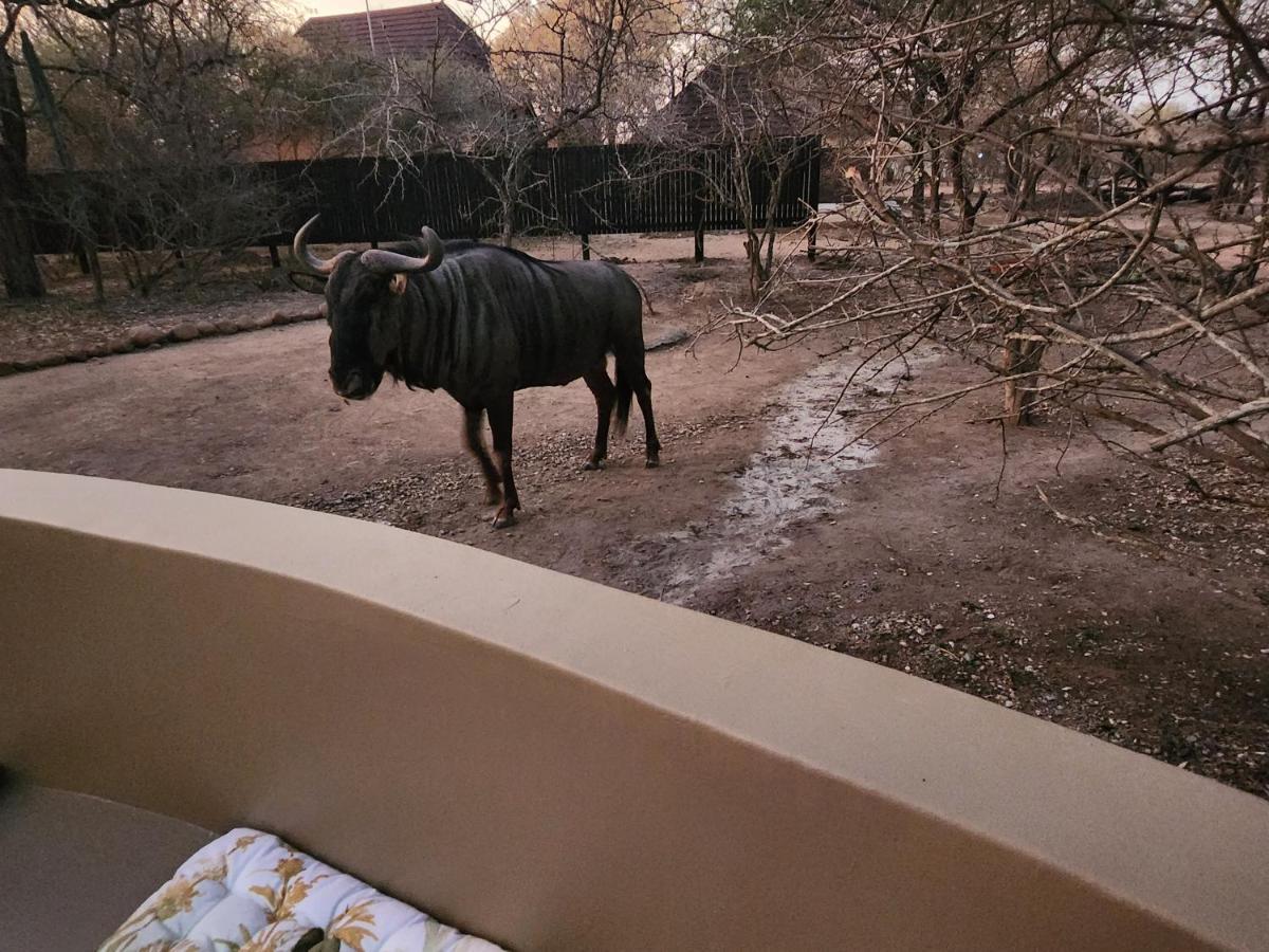 Apartamento Kudus Crest Bush Retreat Marloth Park Exterior foto