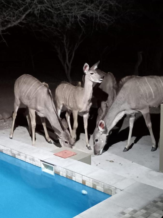 Apartamento Kudus Crest Bush Retreat Marloth Park Exterior foto